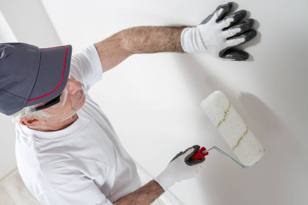 Best Touch-Up Painting  in Lauderhill, FL